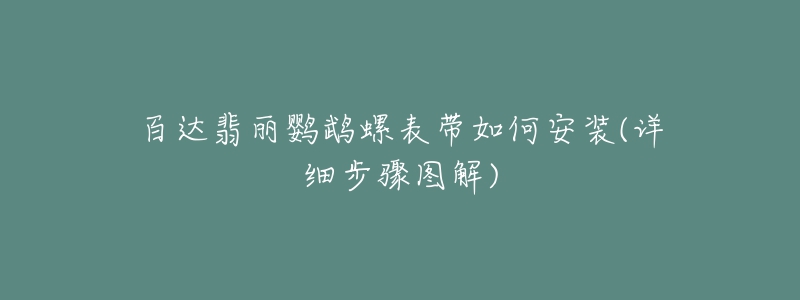 百达翡丽鹦鹉螺表带如何安装(详细步骤图解)