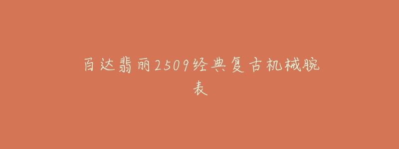 百达翡丽2509经典复古机械腕表