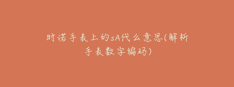 时诺手表上的sA代么意思(解析手表数字编码)