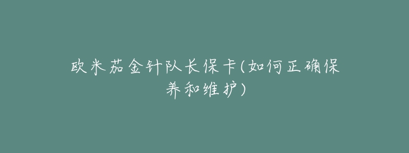 欧米茄金针队长保卡(如何正确保养和维护)