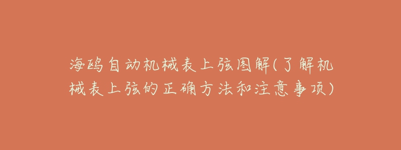 海鸥自动机械表上弦图解(了解机械表上弦的正确方法和注意事项)