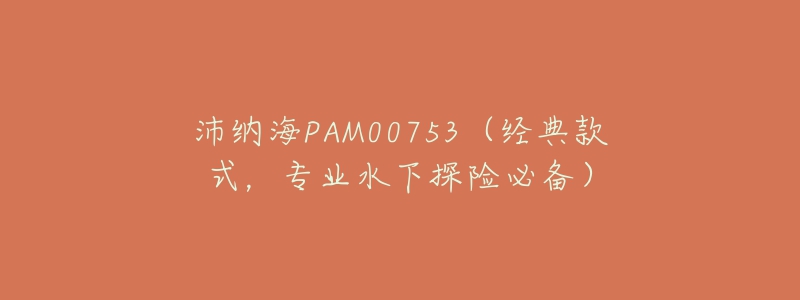 沛纳海PAM00753（经典款式，专业水下探险必备）