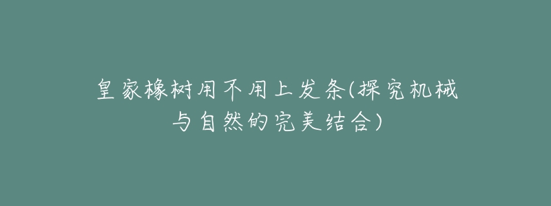 皇家橡树用不用上发条(探究机械与自然的完美结合)