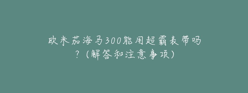 欧米茄海马300能用超霸表带吗？(解答和注意事项)