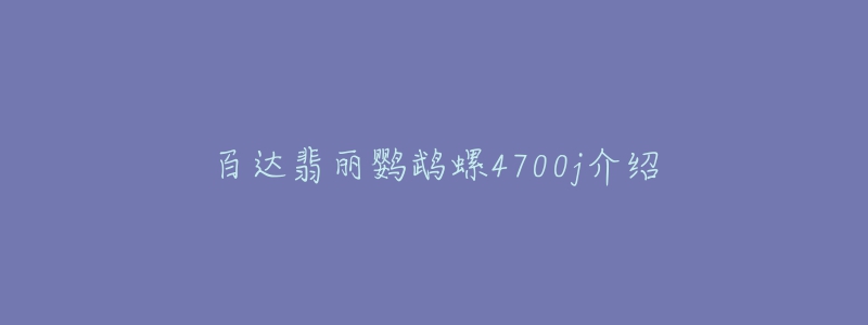 百达翡丽鹦鹉螺4700j介绍