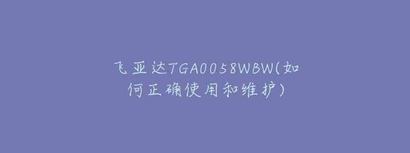 飞亚达TGA0058WBW(如何正确使用和维护)