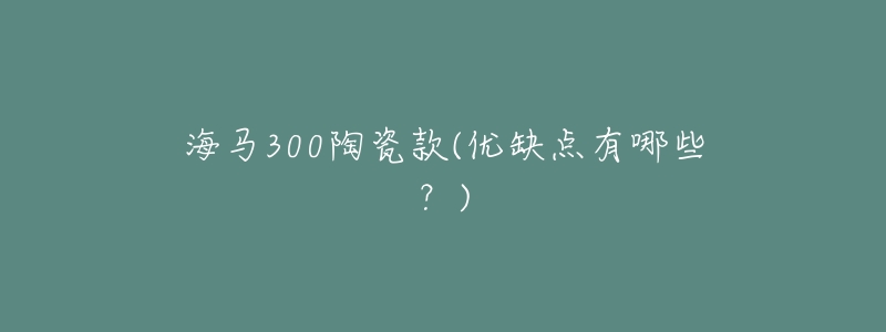 海马300陶瓷款(优缺点有哪些？)