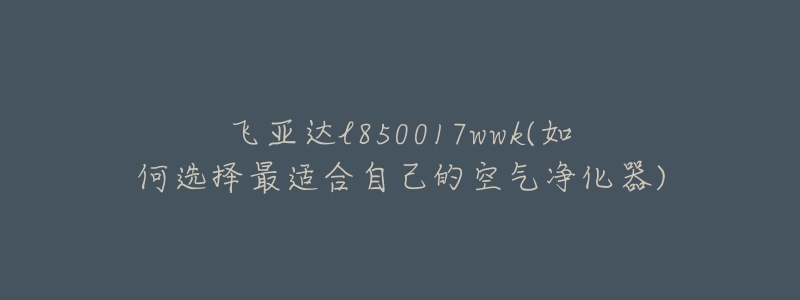 飞亚达l850017wwk(如何选择最适合自己的空气净化器)