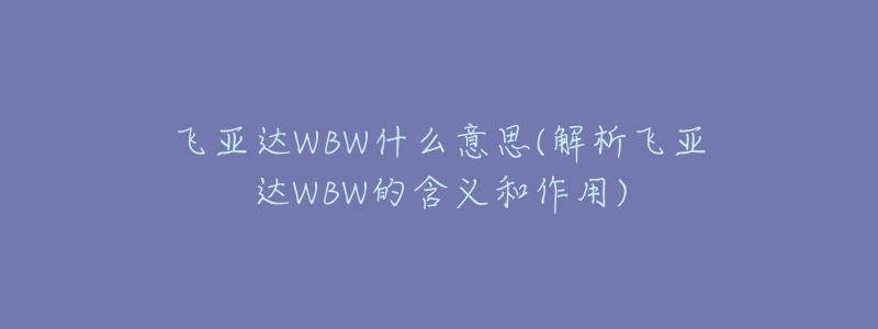 飞亚达WBW什么意思(解析飞亚达WBW的含义和作用)