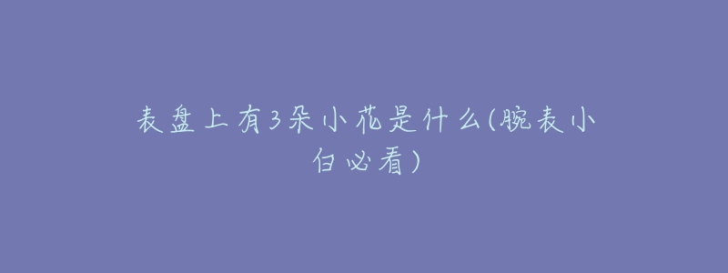 表盘上有3朵小花是什么(腕表小白必看)