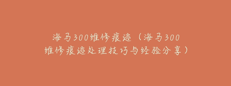 海马300维修痕迹（海马300维修痕迹处理技巧与经验分享）