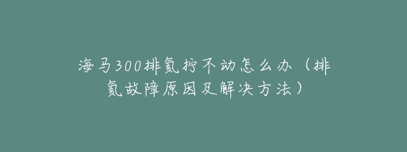 海马300排氦拧不动怎么办（排氦故障原因及解决方法）