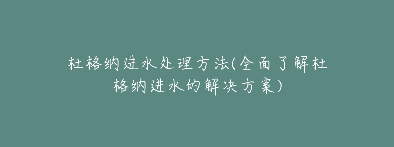 杜格纳进水处理方法(全面了解杜格纳进水的解决方案)