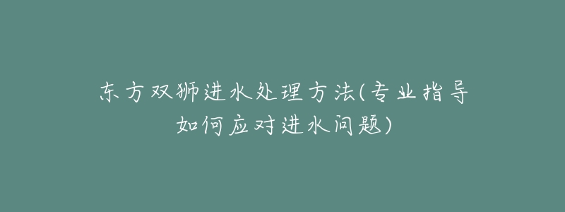 东方双狮进水处理方法(专业指导如何应对进水问题)