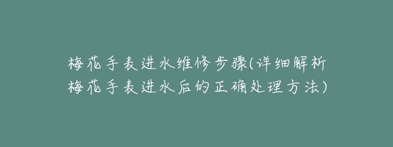 梅花手表进水维修步骤(详细解析梅花手表进水后的正确处理方法)