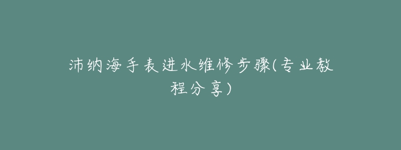 沛纳海手表进水维修步骤(专业教程分享)