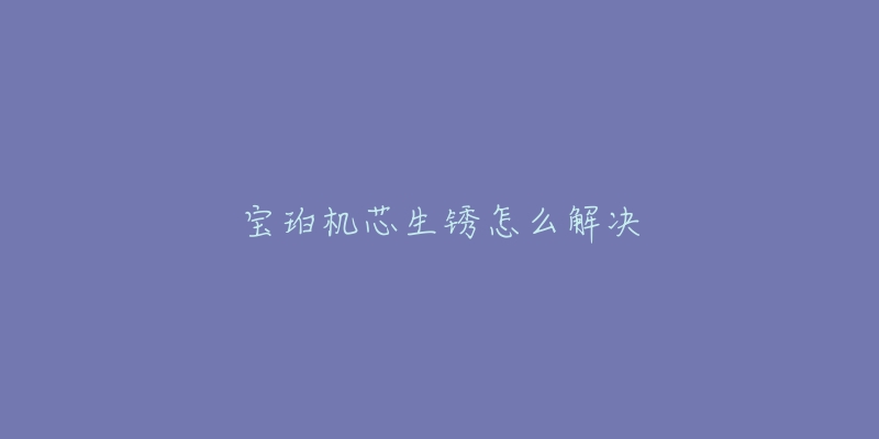 宝珀机芯生锈怎么解决