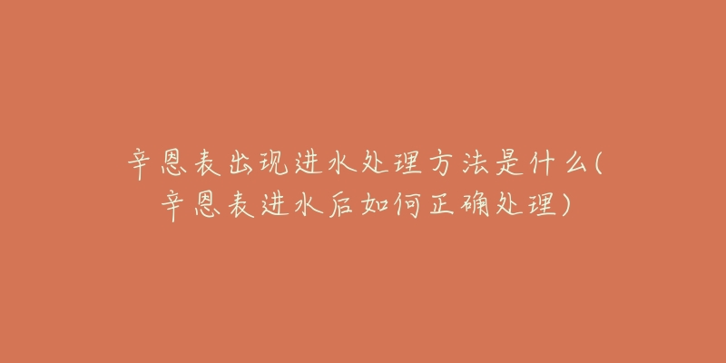 辛恩表出现进水处理方法是什么(辛恩表进水后如何正确处理)