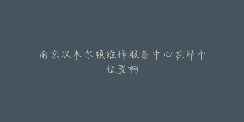 南京汉米尔顿维修服务中心在那个位置啊