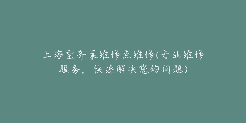 上海宝齐莱维修点维修(专业维修服务，快速解决您的问题)