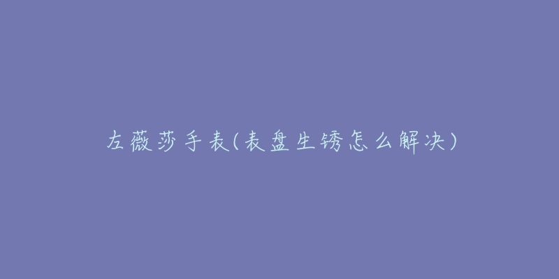 左薇莎手表(表盘生锈怎么解决)