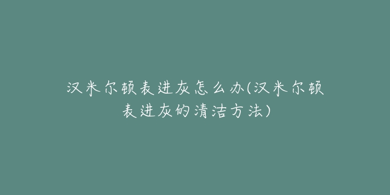 汉米尔顿表进灰怎么办(汉米尔顿表进灰的清洁方法)