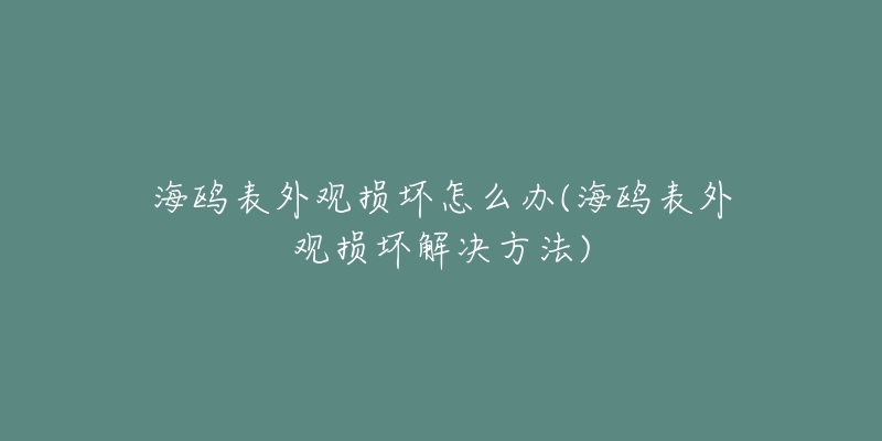 海鸥表外观损坏怎么办(海鸥表外观损坏解决方法)