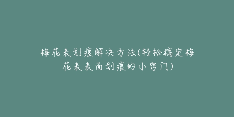 梅花表划痕解决方法(轻松搞定梅花表表面划痕的小窍门)