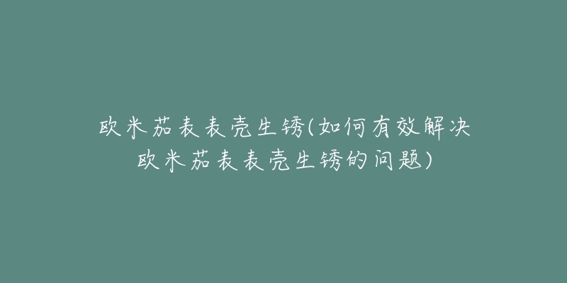 欧米茄表表壳生锈(如何有效解决欧米茄表表壳生锈的问题)