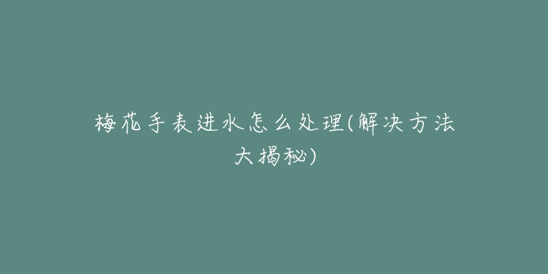 梅花手表进水怎么处理(解决方法大揭秘)