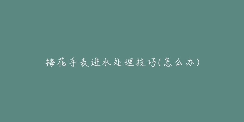 梅花手表进水处理技巧(怎么办)