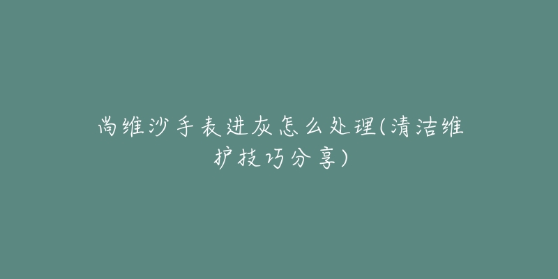 尚维沙手表进灰怎么处理(清洁维护技巧分享)