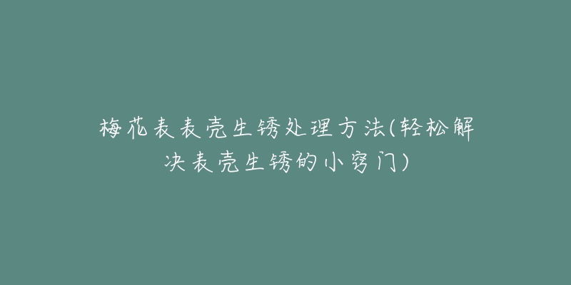 梅花表表壳生锈处理方法(轻松解决表壳生锈的小窍门)