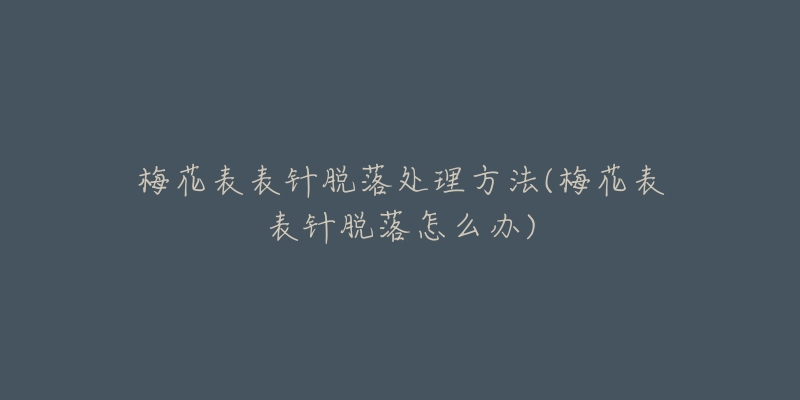 梅花表表针脱落处理方法(梅花表表针脱落怎么办)