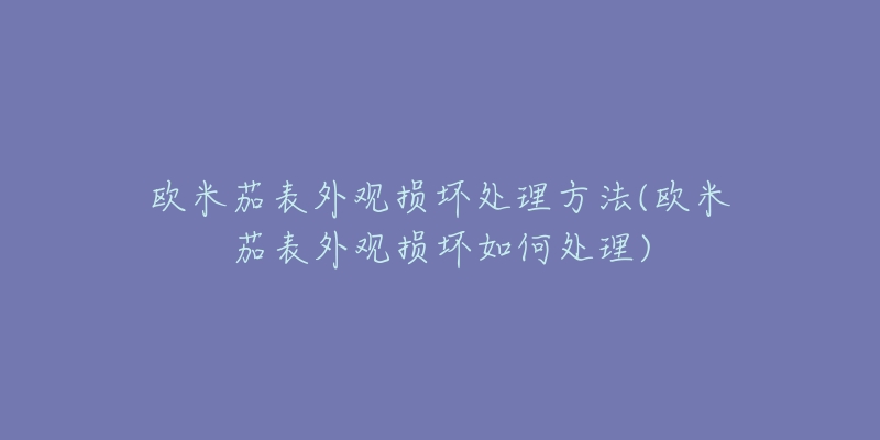 欧米茄表外观损坏处理方法(欧米茄表外观损坏如何处理)