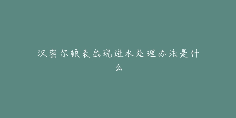 汉密尔顿表出现进水处理办法是什么