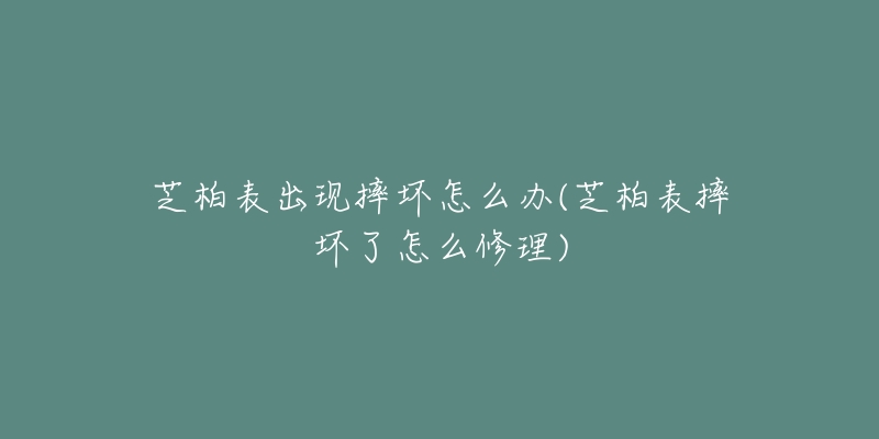 芝柏表出现摔坏怎么办(芝柏表摔坏了怎么修理)