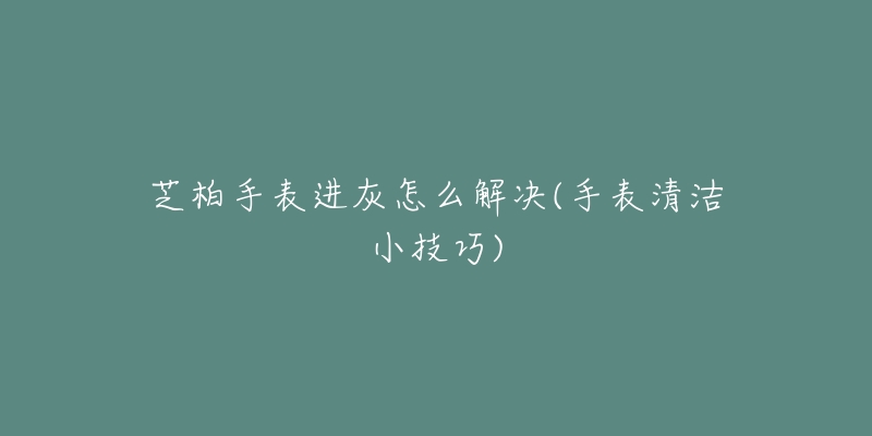 芝柏手表进灰怎么解决(手表清洁小技巧)