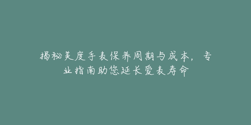 揭秘美度手表保养周期与成本，专业指南助您延长爱表寿命