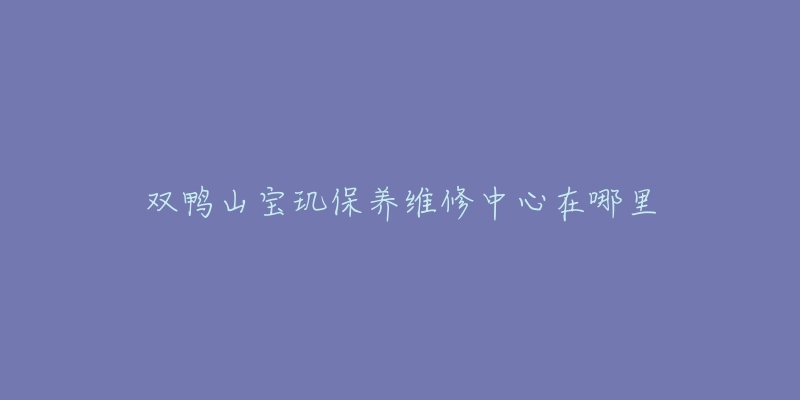 双鸭山宝玑保养维修中心在哪里