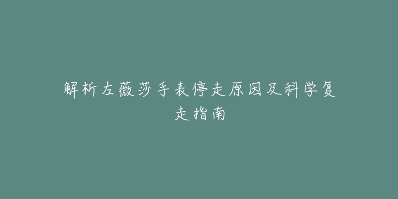 解析左薇莎手表停走原因及科学复走指南